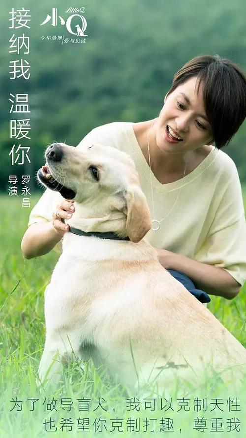 赫维湾代办证件